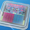 Allwinner     64- 