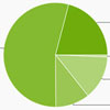  Android 4.4 KitKat   20,9%
