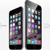  iPhone 6  iPhone 6 Plus  91%   Apple