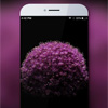   Meizu MX5    