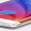 VIVO     3- 