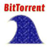  BitTorrent   