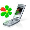 ICQ  :     ?