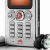   Sony Ericsson W880/W888