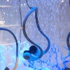 Audio Bone Aqua     Morito  