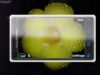 Sony Ericsson:      ?