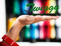 Sony Ericsson Twiggy   W350i  