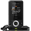 Sony Ericsson    W205