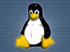Palm OS   Linux