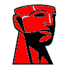 Kingston    USB- DataTraveler Micro 3.1