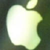    Apple  175  