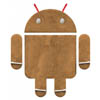      SDK Android Gingerbread