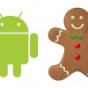    Android 2.3 Gingerbread