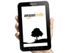 CES 2011: Amazon   Kindle  
