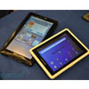 CES 2011: Pandigital    Android-