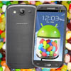 Samsung Galaxy S III получил официальное обновление Android 4.1