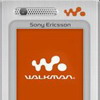 Sony Ericsson        2007 