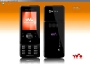 Sony Ericsson W680i -  