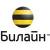Зауреш Лисицына возглавит финансовую дирекцию бизнес-единицы «СНГ» группы компаний «ВымпелКом Лтд.»
